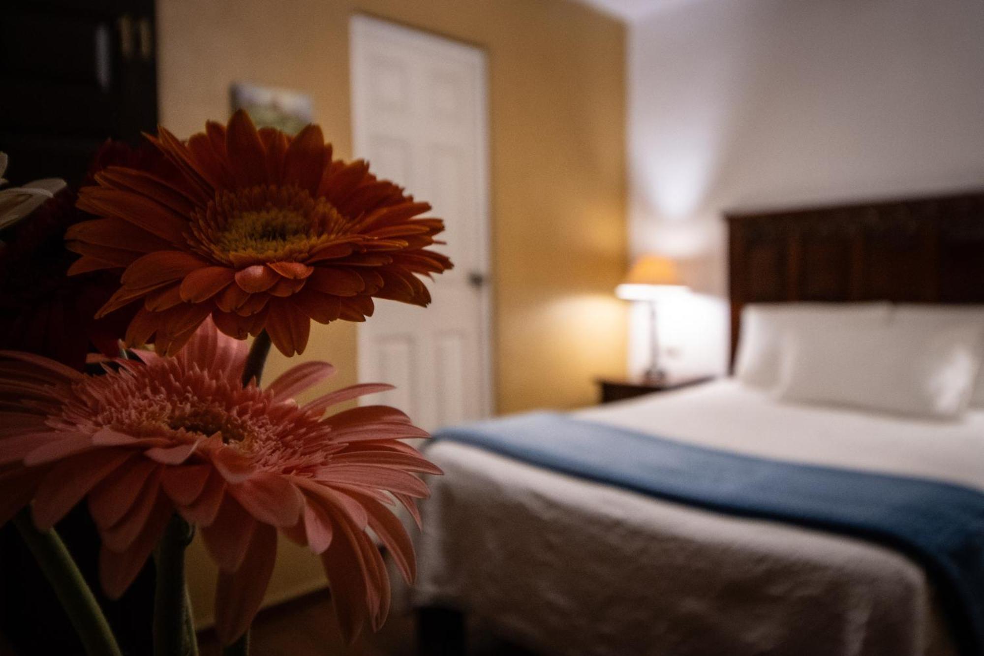 Hotel Casa San Miguel San Miguel de Allende